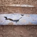 Trenchless Pipe Repair in the Realm of Plumbing Services in San Antonio
